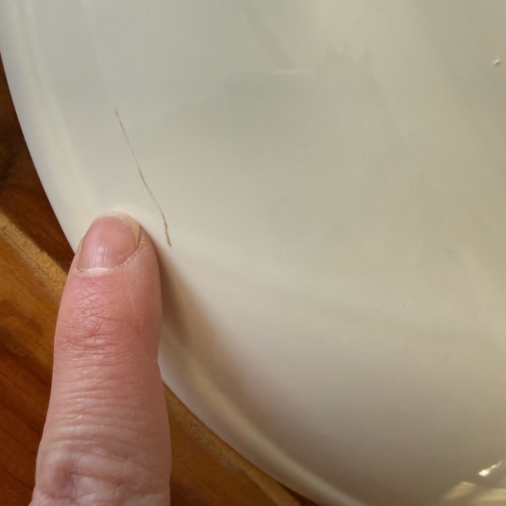 Williams-Sonoma 13” White Ceramic serving bowl with painted culinary herbs GUC - Picture 8 of 13